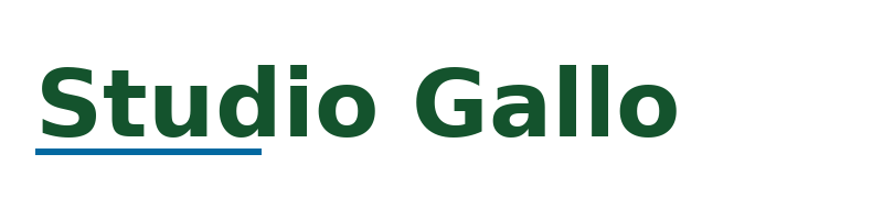 Studio Gallo logo